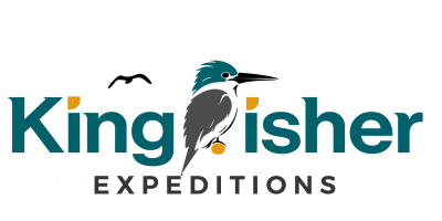 fianl King Fisher Logo